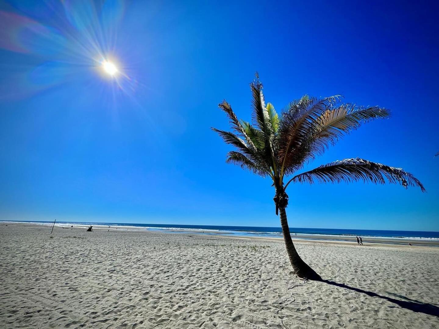 Hotel Tesoro Beach San Luis La Herradura Dış mekan fotoğraf